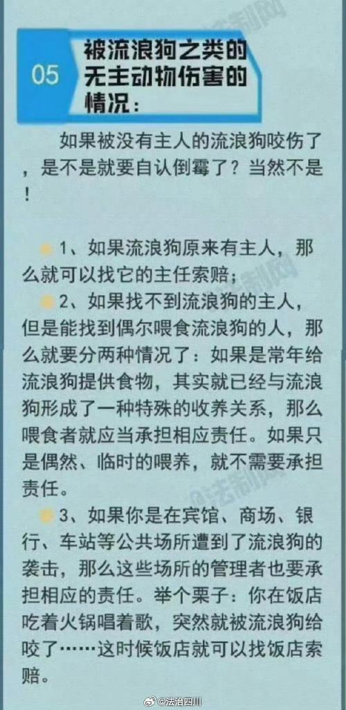 新澳2025最新资料大全论坛和7岁男孩遭3只犬撕咬与7岁男孩遭3只犬撕咬怎么办